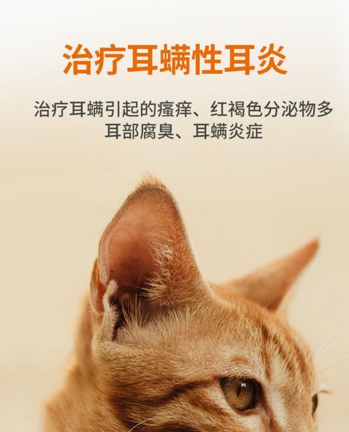 如何用正确方法擦除小猫耳螨（为宠物的健康着想）