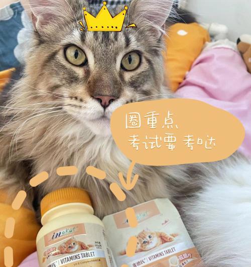 小猫服用B族维生素过量的危害（了解宠物身体需求）