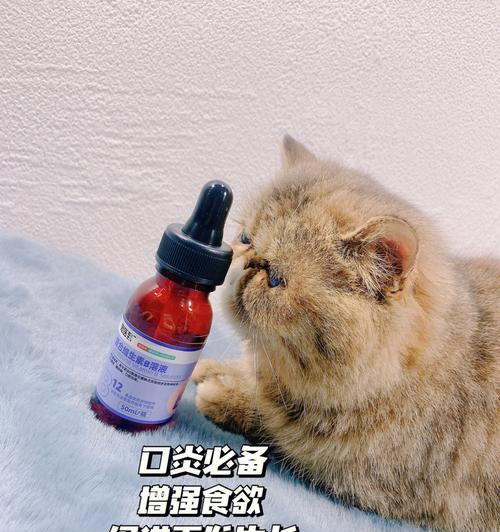 小猫服用B族维生素过量的危害（了解宠物身体需求）