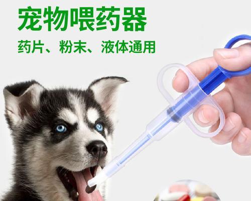 小猫感冒如何治疗（宠物药物治疗的注意事项）