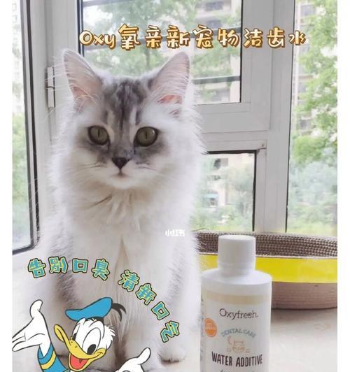 宠物小猫感冒发烧该吃什么药（如何帮助小猫缓解感冒发烧）