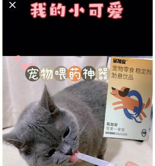 小猫感冒了怎么喂药（以宠物为主）