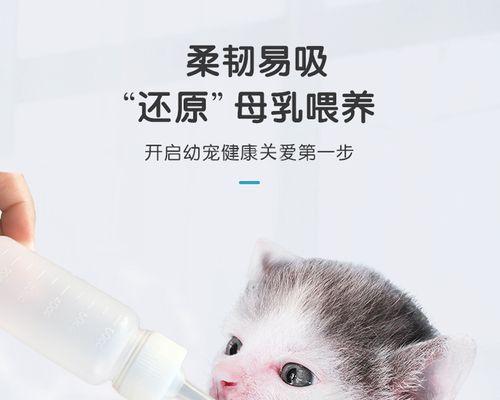 小猫喝了牛奶会怎么样（宠物主人必看）