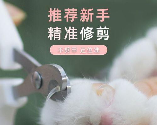 小猫剪完指甲后应该磨爪吗（探究为什么要磨爪）