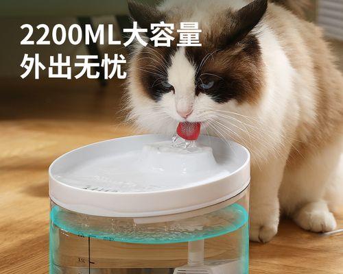 解决宠物小猫经常喝水的问题（保证小猫健康的饮水方法）