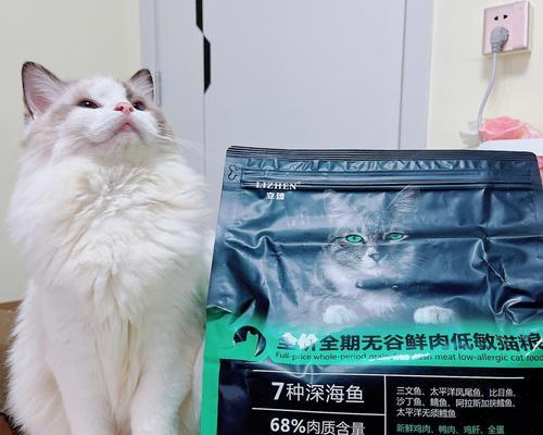 小猫可以吃蛋白粉吗（探究小猫蛋白粉的营养价值和食用方法）