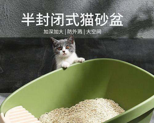 绿色屎是什么病？详解小猫拉出绿色屎的原因