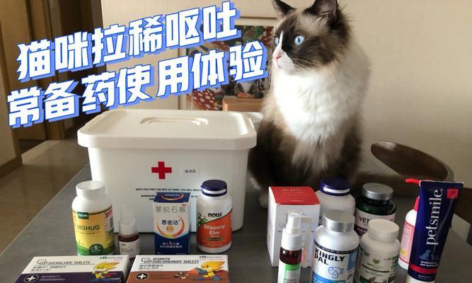 小猫拉稀怎么办（详解宠物拉稀症状）