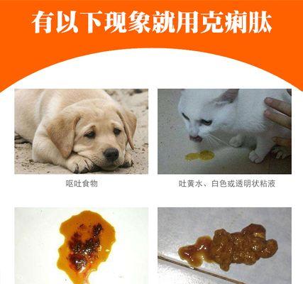 小猫拉稀颜色深，该注意什么（宠物拉稀的常见情况及应对方法）