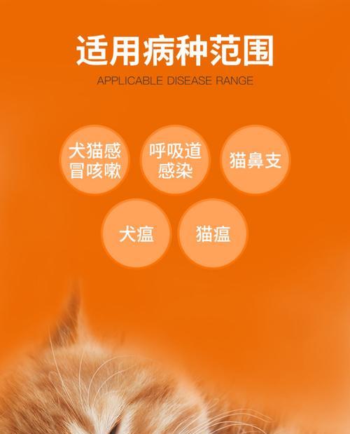 小猫老打喷嚏流鼻涕怎么办（宠物饲主必看）