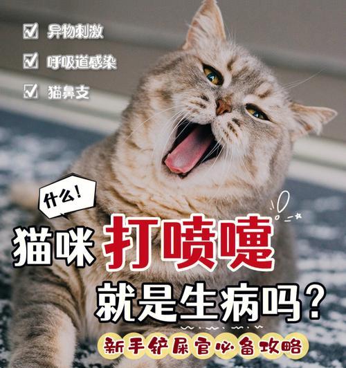 小猫老打喷嚏流鼻涕怎么办（宠物饲主必看）