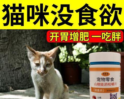 如何科学喂养宠物猫猫（从小猫猫粮的吃法开始）