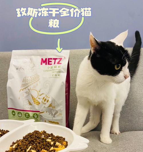 如何科学喂养宠物猫猫（从小猫猫粮的吃法开始）