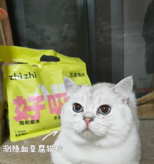 如何应对宠物小猫泌尿口粘稠的问题（解决小猫泌尿口粘稠）