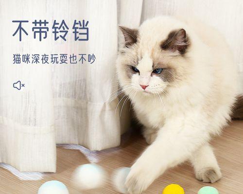 宠物猫为何容易爱叫爱咬人，如何应对（了解猫咪行为习惯）