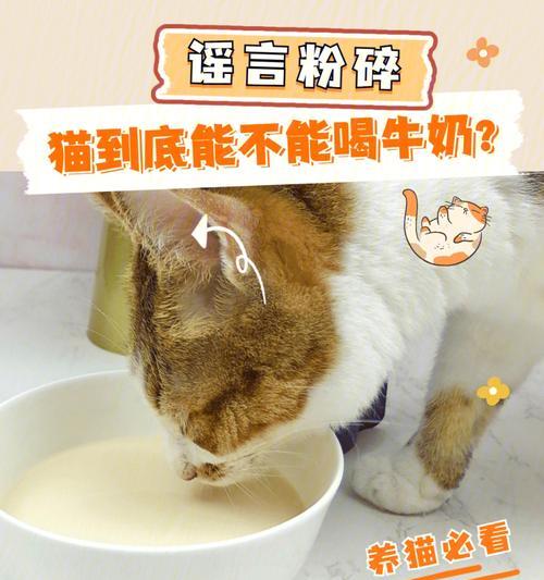 宠物猫为什么不能喝牛奶（猫的消化系统无法处理乳糖）