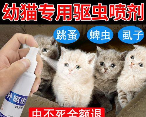 猫咪为什么要定期驱虫（保护宠物健康的重要措施）