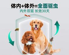 猫咪为什么要定期驱虫（保护宠物健康的重要措施）