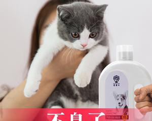 猫咪最爱的香水（探寻猫咪喜欢的气味）