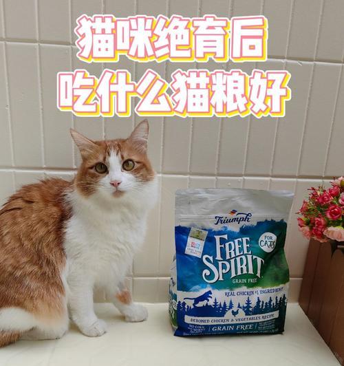 如何选择适合消化不好的猫的猫粮（以宠物为主）