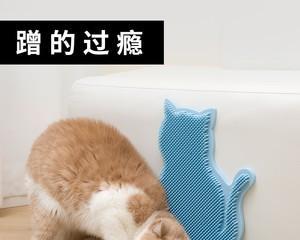 猫咪为什么不喜欢玩猫抓板（探究猫咪的行为习惯和喜好）