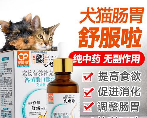 猫咪肠炎怎么治（医院如何治疗猫咪肠炎）