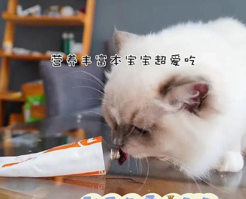 猫咪吃鸡蛋的营养价值（探究猫咪吃鸡蛋的好处与坏处）