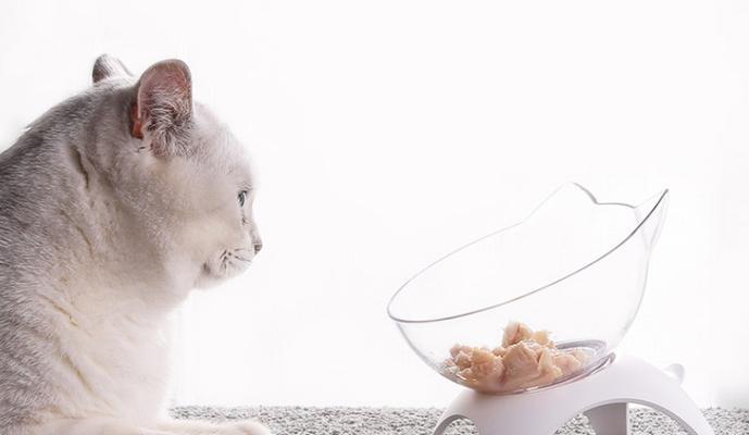 猫咪该吃什么食物（探讨猫咪饮食健康问题）