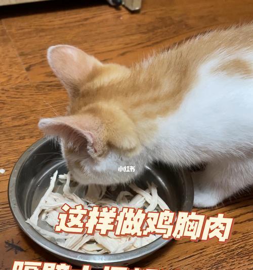 宠物猫咪的营养需求与猪肉食用指南（了解猫咪的营养需求）