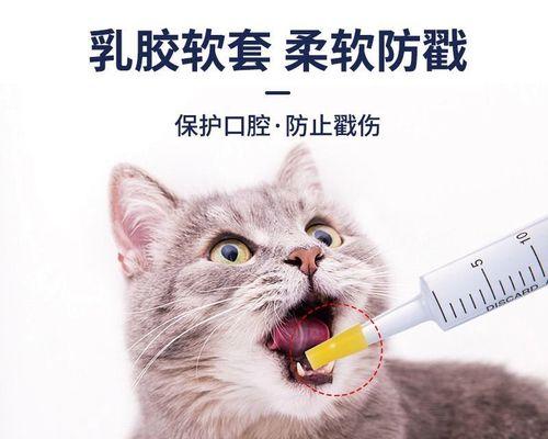 正确的猫咪打针方法（避免不良反应）