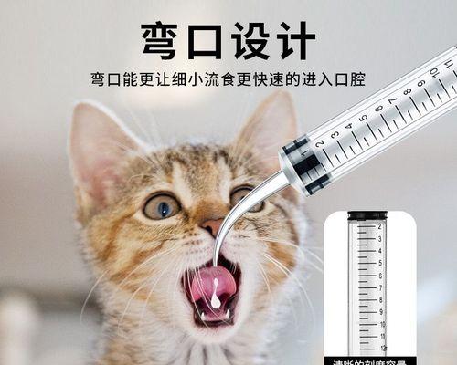 猫咪打针须知（宠物健康不容忽视）