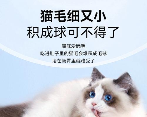 宠物猫咪得了毛球证怎么办（治疗、预防、日常护理一步步做好）