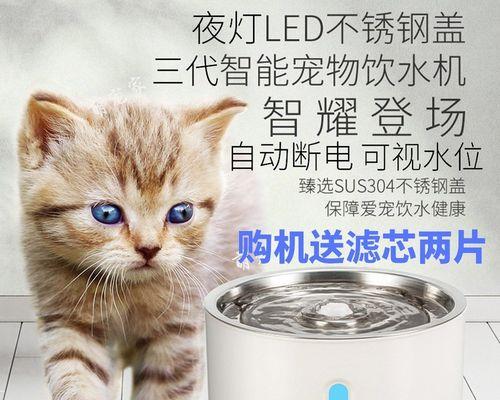 猫咪喝水的正确方式（以宠物为主）