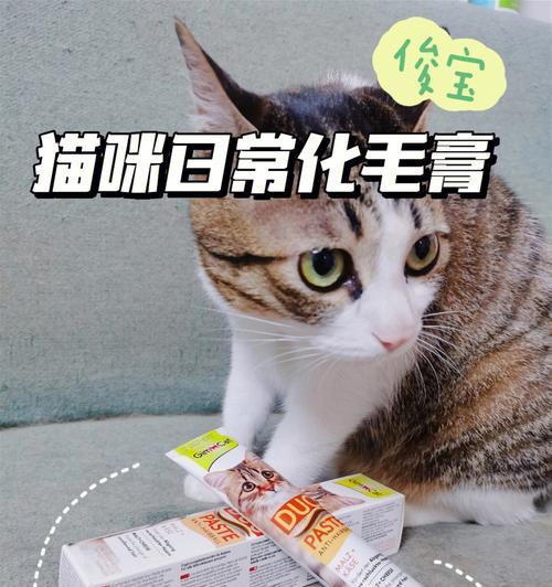 探析以猫咪化毛膏的神奇作用（让宠物毛发更加亮丽健康）