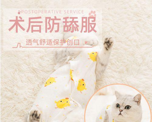 猫咪绝育后如何不发胖（宠物爱好者必读的减肥秘诀）