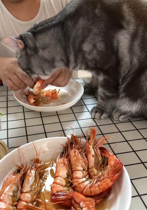 猫咪可以吃生虾吗（宠物饮食安全）