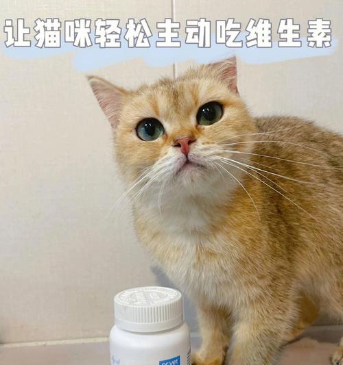 猫咪可以吃维生素片吗（探究猫咪对维生素片的需求及注意事项）