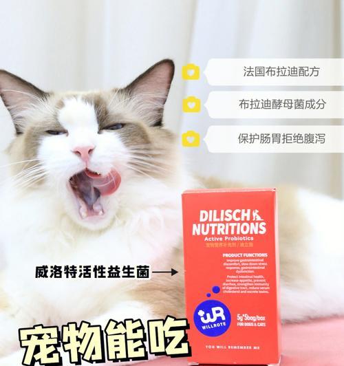 猫咪可以吃维生素片吗（探究猫咪对维生素片的需求及注意事项）