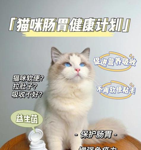 猫咪可以吃维生素片吗（探究猫咪对维生素片的需求及注意事项）