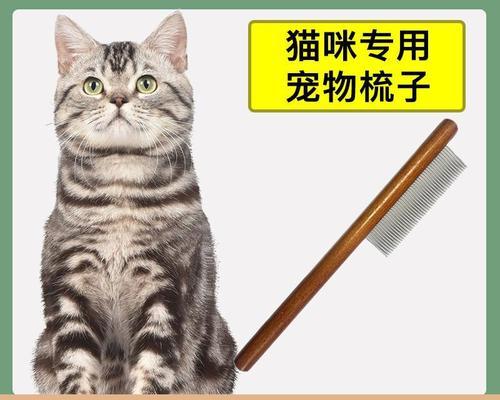 猫咪美容必备（猫咪的健康需要从梳理开始）