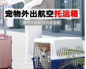 猫咪空运接机攻略（宠物独自旅行）