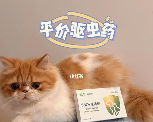 如何驱虫治疗猫咪拉肚子（宠物护理的必备知识）