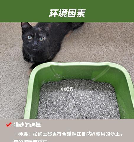 猫咪乱尿，这款喷雾让你轻松解决（全方位解析）