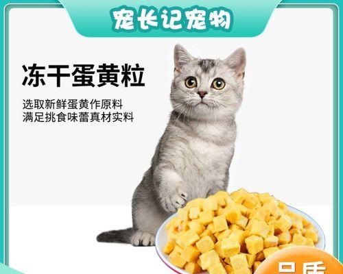 猫咪每天吃蛋黄好吗（探讨猫咪饮食健康的秘诀）