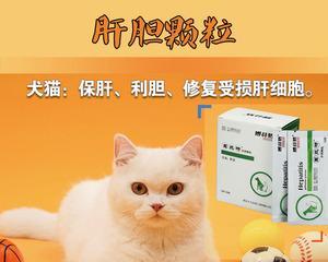 治疗猫咪肾衰需要用哪些药物（猫咪肾衰的原因和症状）