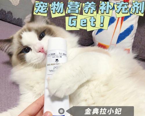 如何选择适合病猫的营养膏（宠物猫生病后如何选择合适的营养膏）