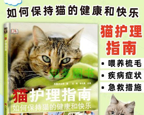 猫咪生产时怎么办（宠物猫咪生产的必备知识）