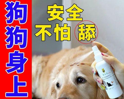 猫咪体外除虫怎么挤（宠物身体健康）