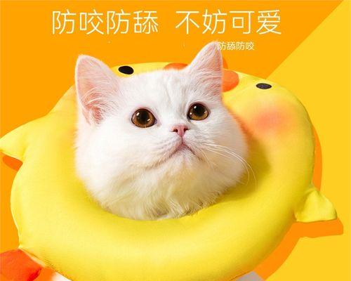 猫咪舔你到底意味着什么（揭秘猫咪舔人的7种真正含义）