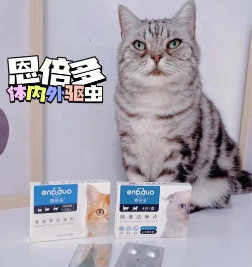 猫咪外驱虫大揭秘——哪个牌子好（以宠物为主）